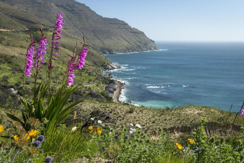 Villa Tintswalo Atlantic Hout Bay Exterior foto